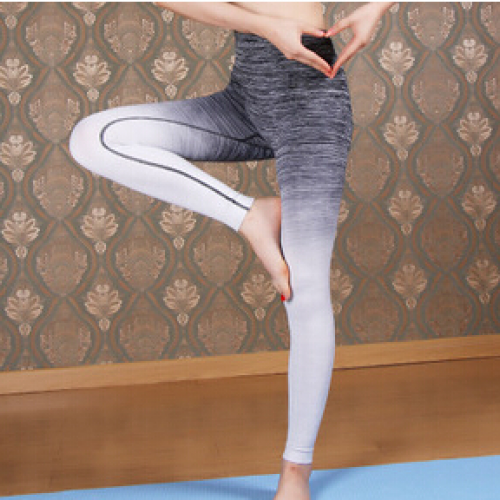 Nylon Tights Quick Dry Yoga Pants